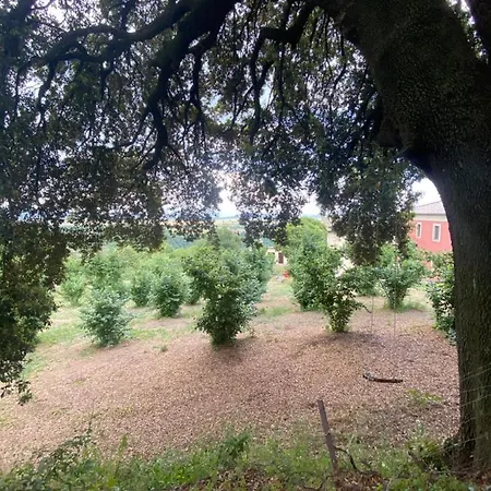 Casa rural Antico Casale Edifizio